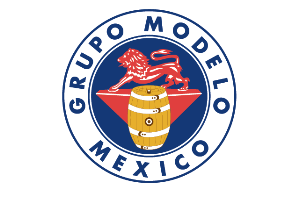 Grupo-Modelo-300-logo